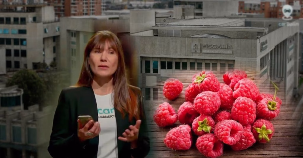Fiscalía imputará cargos a Zulma Guzmán por el caso de las frambuesas con talio que cobró la vida de dos niñas
