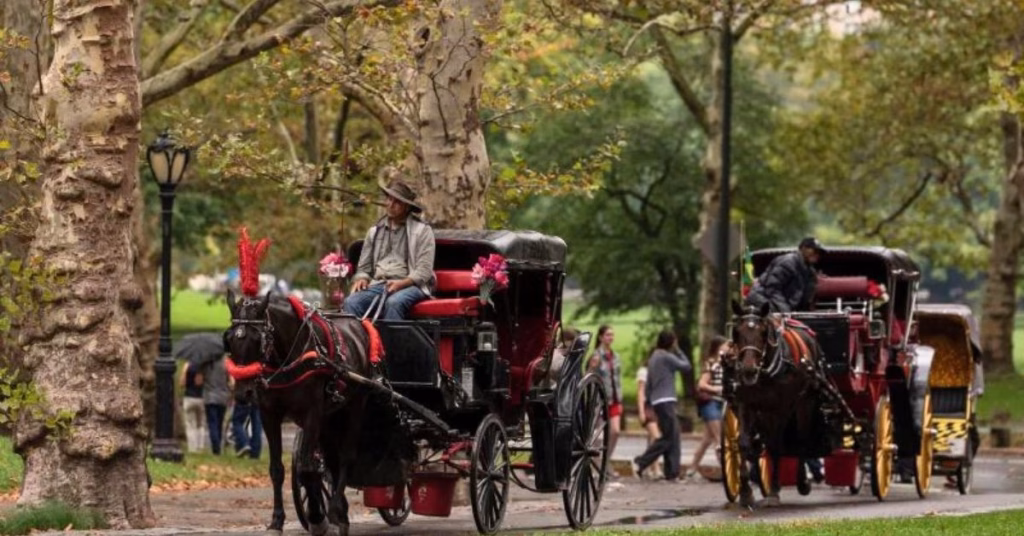 Nueva York pondrá fin a los carruajes tirados por caballos de Central Park: una tradición de más de 150 años llega a su final