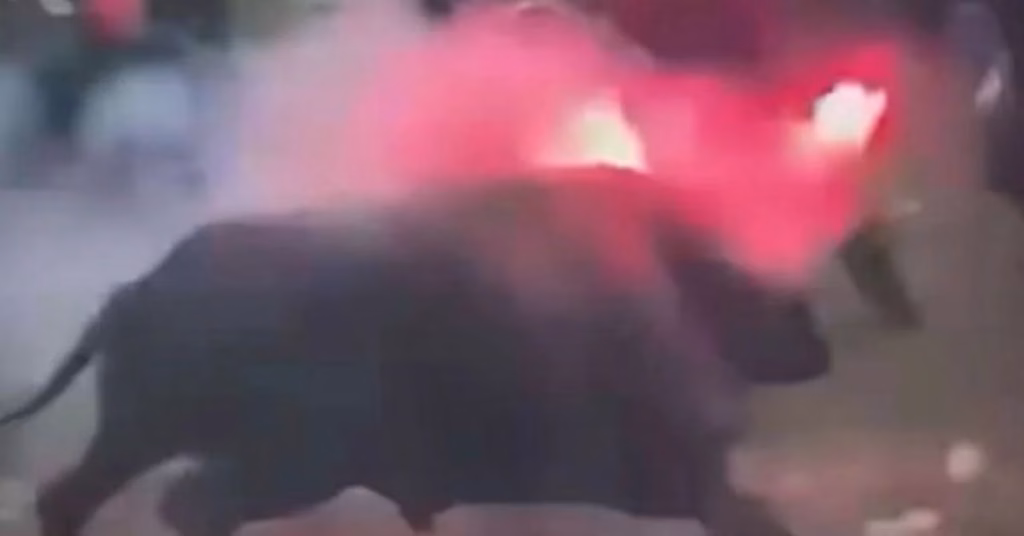Fuego, gritos e indignación: piden investigar el polémico episodio con un toro en corraleja de Sabanalarga