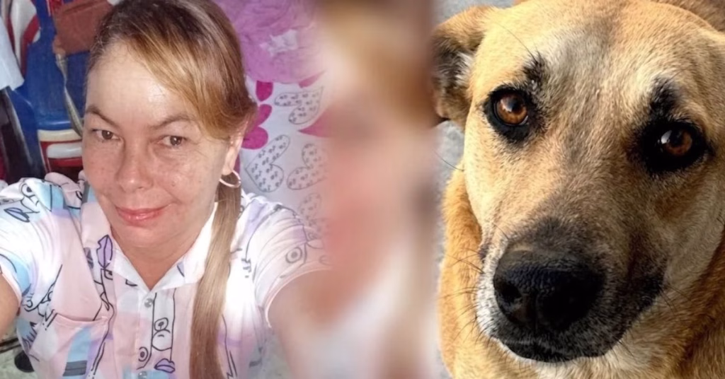 ¡Su instinto fue protegerla! El perrito que murió baleado durante el asesinato de una mujer en Montería